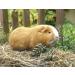 Boredom Breaker Veggie Burst Nibble Leaves Rabbit Treats & Small Animal Treats 6pc 80g - Buy Online on GoSupps.com