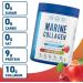 Applied Nutrition Marine Collagen Powder - Strawberry & Lemonade - 25 Servings - Buy Online on GoSupps.com