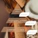 Ecodrop Coconut & Sandalwood Diffuser Set - 100ml | Strong Scented Aromatherapy Fragrance Oil a Glass Bottle & 6 Wooden Reed Sticks Set | Home Decor for Living Room Bathroom & Bedroom Coco Sandalwood Set - Buy Online on GoSupps.com