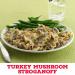 Hamburger Helper Stroganoff Pasta & Creamy Sauce Mix 13 oz. Twin Pack - Delicious & Convenient Meal Solution - Buy Online on GoSupps.com