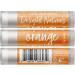 Sweet Citrus Lip Balm Gift Set - Refreshing Orange Lime & Lemon - Perfect for Gifting | International Shipping Available - Buy Online on GoSupps.com