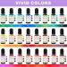 HTVRONT Candle Dye Set - 24 Assorted Colors for Candle Making | 0.35oz Liquid Dye for Soy Wax, Beeswax, Gel, Palm Wax | Safe & Natural Coloring Solution - Buy Online on GoSupps.com