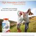 Doctor's Best High Absorption CoQ10 200 mg with BioPerine - 180 Veggie Capsules - Buy Online on GoSupps.com