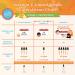 MaryRuth Organics Infant Vitamin C Drops - Orange & Vanilla, 2 fl oz | 0-12 Months - Buy Online on GoSupps.com