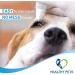 Pet Eye Drops: Antibiotic Ointment for Infection Relief in Dogs & Cats - Buy Online on GoSupps.com