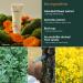 Little Drops Calming Days Ampoule Cream 100ml - Soothing Vegan Face Moisturizer with Calendula Extract | Korean Skincare - Buy Online on GoSupps.com