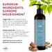 Buy Earthly Body MKS Eco Nourish Shampoo for Fine Hair - 10 fl oz - Strengthens & Cleanses - Vegan & Cruelty-Free - Safe for Color-Treated Hair - Buy Online on GoSupps.com