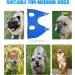 KKIIMATT 5-in-1 Pet Care Hammock for Small & Medium Pets | Breathable Dog Care Helpers for Swimming Washing & Nail Trimming (Blue) - Buy Online on GoSupps.com