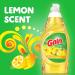Buy Gain 97625 Ultra Liquid Dishwasher Detergent - Lemon Zest Scent | International Shipping Available - Buy Online on GoSupps.com