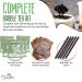 Bubble Tea DIY Kit: Milk Tea Powder, Brown Sugar Tapioca Pearls, Straws - APEXY - Buy Online on GoSupps.com