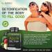 Organic Apple Cider Vinegar with Spirulina & Kelp - Metabolism Boost, Detox & Immune Support - 120 Capsules - Buy Online on GoSupps.com