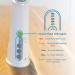 Pure Guardian MST55 Portable Warm Mist Steam Inhaler with Essential Oil Tray - Natural Steam Treatment for Allergies, Nasal Congestion, and Sinus Discomfort - Buy Online on GoSupps.com