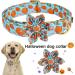 Aring Pet Halloween Dog Collar - Adjustable Blue Pumpkin Design with Flower XL for Jumping Beasts & Puppies - Buy Online on GoSupps.com
