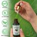 NaturalHerbo Moringa Seed Oil Pure, Cold Pressed, Oleifera Seed Oil | Behenic-Rich Herbal Oil for Skin, Hair, Scalp and Body, Fast-Absorbing Natural Moisturizer for Skin and Healthy Hair - 30 ML - Buy Online on GoSupps.com