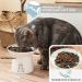 Extra Wide Ceramic Raised Cat Bowls - Set of 2 White - Elevated Porcelain Pet Food and Water Dishes for Big Cats and Small Dogs - Buy Online on GoSupps.com