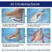 Air Arch Insoles for Women - Shock Absorbing Blue Orthotic Inserts for Foot Pain Relief in Running - Buy Online on GoSupps.com