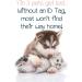 Officially Licensed Penn State Nittany Lions Pet ID Dog Tag - Personalized for Your Pet - Buy Online on GoSupps.com