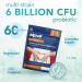 Zipvit Probiotics for Gut Health for Women & Men - 60 Vegetarian Capsules - Buy Online on GoSupps.com