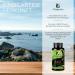 VitAgrazia Bio Kelp - Natural Iodine Tablets | 300 Tablets with 150 g Iodine | Sustainable Supplement from Bio Kelp in Germany - Buy Online on GoSupps.com