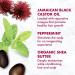 SheaMoisture Jamaican Black Castor Oil Leave In Conditioner - 11.5oz | Soften & Detangle Damaged Hair - Buy Online on GoSupps.com