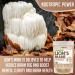 XPRS Nutra Organic Lions Mane Powder - 4 oz Premium Mushroom Supplement for Mental Clarity, Cognition & Immunity - Vegan Friendly - Buy Online on GoSupps.com