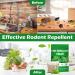 Mixrug 8 Natural Mouse Repellent Pouches Peppermint Oil Mice Repellent Indoor for Mice  - Buy Online on GoSupps.com
