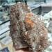 Crystal Cluster Natural Mushroom Calcite Quartz Crystal Specimen Ment Home Degaussing Decoration Gem Gift ningxiao (Size : 800-900g) - Buy Online on GoSupps.com