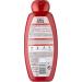  Garnier Garnier - Ultra Gentle Shampoo with Argan Oil and Cranberry for Colored Hair - 400 ml - Buy Online on GoSupps.com