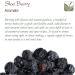 Blackthorn Dried Berries Organic Quality - Sloe Berries - Sherrys Berries 200g - Buy Online on GoSupps.com