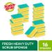 Scotch-Brite Fresh Heavy Duty Scrub Sponge 16 Pieces - Green - Cleans Tough Messes, Food-Trapping Resistant - Buy Online on GoSupps.com