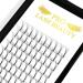 Pre Made Fan Eyelash Extensions 6D-C-0.10-14 Long Stem Pre Fanned Russian Volume Lashes 0.07 0.10 Premade Fans Eyelash Extension C D curl Lash Extension 6D-C-0.10-14 14 mm 6D-C-0.10-CG