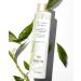 Pantene Bamboo Hair Volume Multiplier Shampoo for Fine Thin Hair - 9.6 Fl oz - Buy Online on GoSupps.com