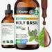 BIO KRAUTER Holy Basil Tincture - Tulsi Powder Liquid Extract - Supports Calmness and Relaxation - Ursolic Acid Supplement - Alcohol and Sugar Free Holy Basil Extract - Vegan Drops 4 Fl.Oz. 4 Fl Oz (Pack of 1)