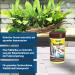 Tetramine Flakes - Premium Fishing Feed for Ornamental Fish | Balanced Nutrition & Clear Water | 100ml Can (1 Pack) - Buy Online on GoSupps.com