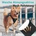 Rabbitgoo Medium Dog Harness - Break-Proof Breathable Adjustable with Handle | Anti-Training Safety Vest for Medium Dogs | Padded & Comfortable Design - Gray - Buy Online on GoSupps.com