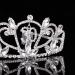 FRCOLOR 30th Birthday Tiara Bling Rhinestone Tiara 30th Birthday Crown for Hair Decoration - Buy Online on GoSupps.com