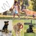 304 Stainless Steel Dog Chain Collar for Training & Walking - Small (10-20kg) - Buy Online on GoSupps.com