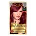 L'Oreal Paris Superior Preference 9 weeks of Luminous Fade-Defying Permanent Hair Dye 4B Burgundy 100% Grey Coverage 1 Hair Dye Kit (Packaging May Vary) Burgundy 3 Piece Set