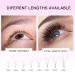 Buy Loose Fans Lash Extensions - 1000 Premade 3D Volume Fans | 0.07 C Curl 15mm Eyelash Extensions - International Shipping Available - Buy Online on GoSupps.com