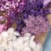 Dried Pressed Flowers Set for Soap Candle and Resin Jewelry Making - Purple Blue Assortment - Buy Online on GoSupps.com