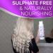 Purple Conditioner for Blonde & Bleached Hair - 500ml Sulfate Free Blue Toner for Platinum & Grey Hair - Best Silver Conditioner - Buy Online on GoSupps.com