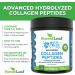 Hydrolyzed Collagen Peptides - Unflavored Protein Powder - Pasture Raised & Grass Fed - Paleo & Keto Friendly - 41 Servings - 1lb Pack - Buy Online on GoSupps.com