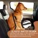2 Dog Seat Belts For Cars UK - Dog Car Harness - Dog Seat Belt - Cats & Other Pets - Safety Harness With Adjustable Elastic Leads - Black - Buy Online on GoSupps.com