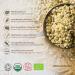 Premium Raw Organic Hemp Seeds Hearts 1kg - Vegan Snack with Omega 3&6, Protein, Amino Acids and Minerals - Gluten-Free Superfood in Eco-Friendly Resealable Pouch - Buy Online on GoSupps.com