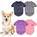 Wisebom 4PCs Winter Dog Sweater Set - Classic Knitted Warm Sweaters for Small & Medium Dogs - Soft Lightweight & Stretchy (XS) - Buy Online on GoSupps.com