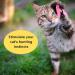 Interactive 11-Piece Buddy Wild Cat Toy Set with Teaser Wands and Feather Worms - Vibrant Colors - Exercise Toys for Cats and Kittens - Buy Online on GoSupps.com