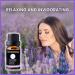 Pure Lavender Oil - Therapeutic Grade Essential Oil for Diffuser Skin Care Hair Growth Aromatherapy & Relaxation - 10mL - Buy Online on GoSupps.com