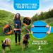Reflective Bungee Dog Leash for 2 Dogs - Medium & Large with Stipper | Elastic Walking Leash (Green) - Buy Online on GoSupps.com