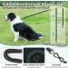Shop Aystkniet Bungee Drag Line for Dogs - 3m to 30m Shock-Absorbing Leash with Padded Handle & Lockable Hook | Ideal for Medium & Large Dogs - Buy Online on GoSupps.com