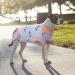 Recovery Suit for Dogs | Postoperative Wound Protection & Anti-Licking Clothing (Blue Cactus Size S) - Buy Online on GoSupps.com